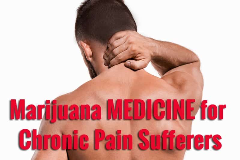 Marijuana MEDICINE for Chronic Pain Sufferers