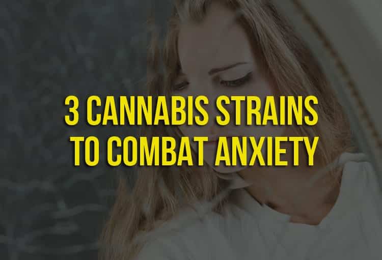 3 Cannabis Strains to Combat Anxiety