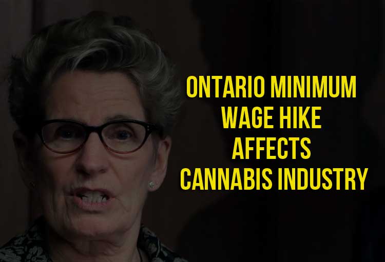 Ontario Minimum Wage Hike Affects Cannabis Industry