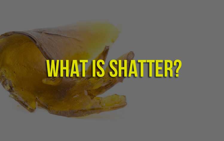 what is shatter?