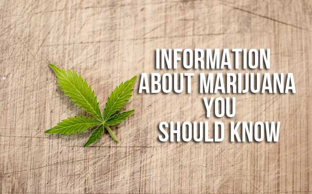 Information About Marijuana You Should Know