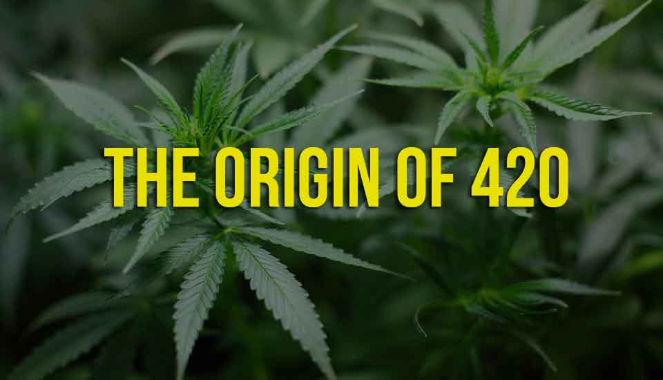 The Origin of 420