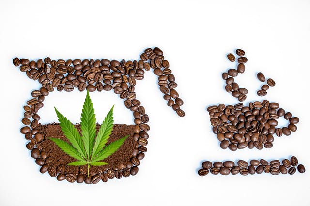 second cup enters cannabis industry