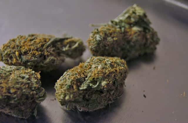 What Is ‘Kush’ Cannabis?