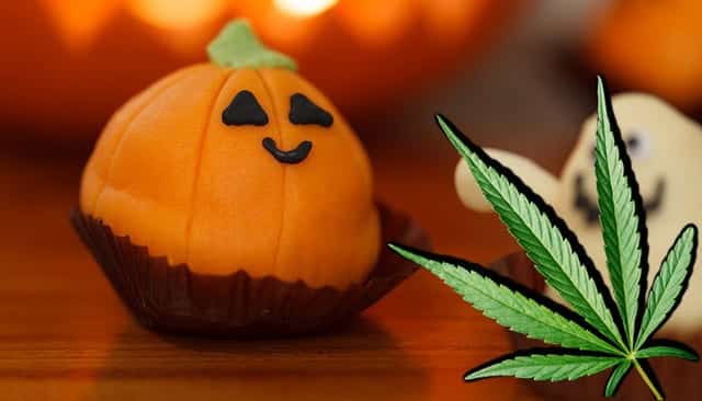 Trick Or Treat: Weed Candies for Adults