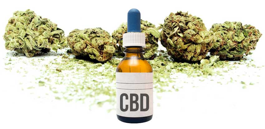 Top 6 Science-Supported Benefits of CBD Oil
