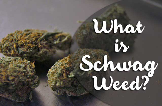 A Comprehensive Guide on How to Identify Schwag Weed