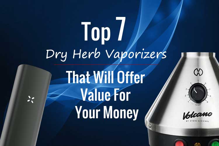Top 7 Dry Herb Vaporizers That Will Offer Value For Your Money