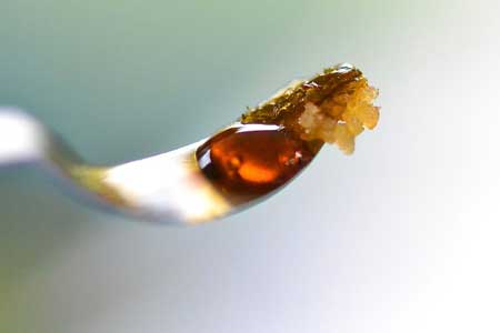 Differences Between Shatter, Wax, Resin & Rosin