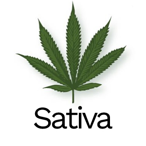 Buy Cannabis Sativa Online Canada