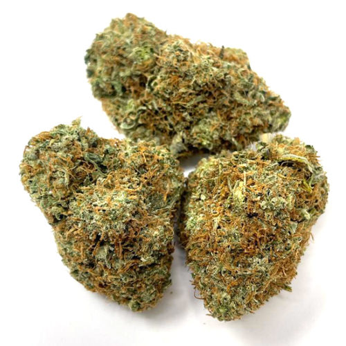 Amnesia Haze, also known as "Amnesia," is known for its uplifting and energetic high. Buy award winning sativa strains online in Canada.