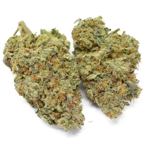 Buy Animal Cookies weed from an online dispensary with free shipping.