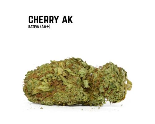 Cherry AK-47 is a sativa dominant hybrid strain that comes from the Ak 47 lineage. Buy Cherry AK weed from an online dispensary