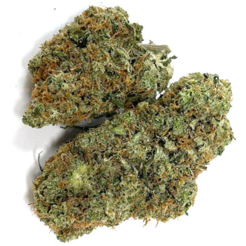 Buy Citrix weed online and other potent sativa strains.