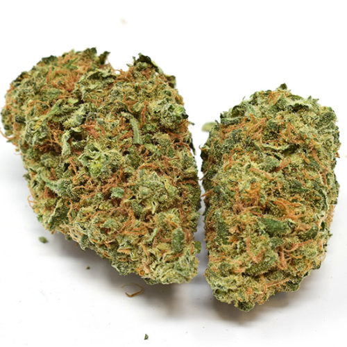 Buy critical kush weed online in canada. Where can I get critical kush in canada. Dispensary that sells critical kush