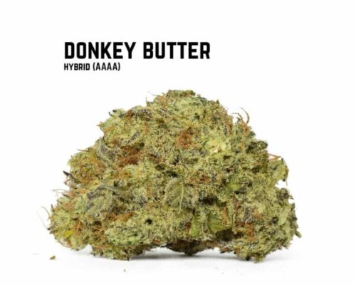 Buy donkey butter strain in canada online