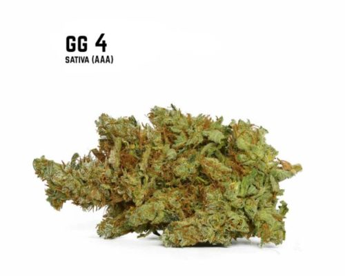 Buy Gorilla Glue #4 or gg4 weed online in Canada and other energizing sativa strains.