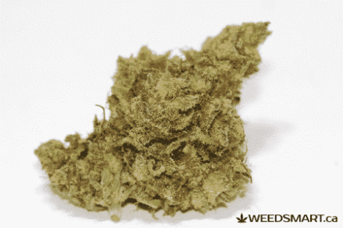 weedsmart_image_Super Silver Chemdawg strain