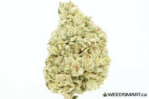 weedsmart_image_Green Cheese strain