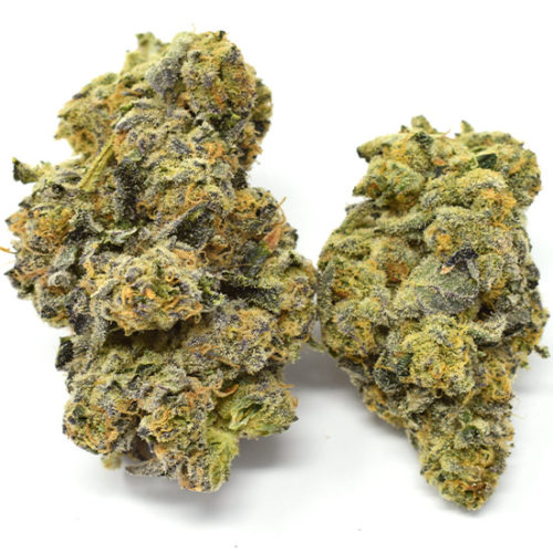 Buy Ice Cream Kush weed online in Canada without any ID or prescription.