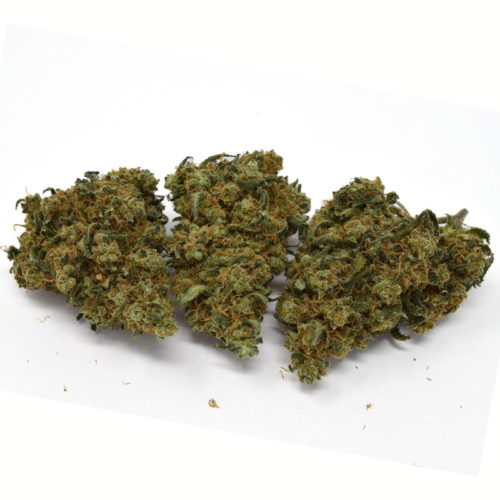 Jack Herer is a sativa-dominant strain that was developed by a triple cross between Haze, Northern Lights, and Shiva Skunk.