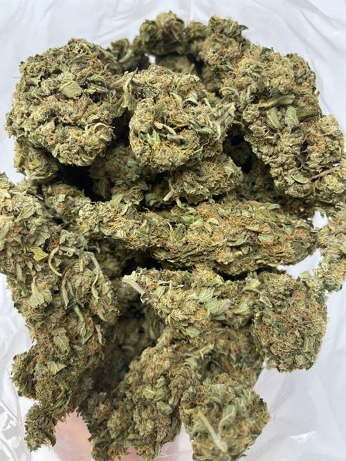 Buy King Tut sativa strain online and other sativa weed.