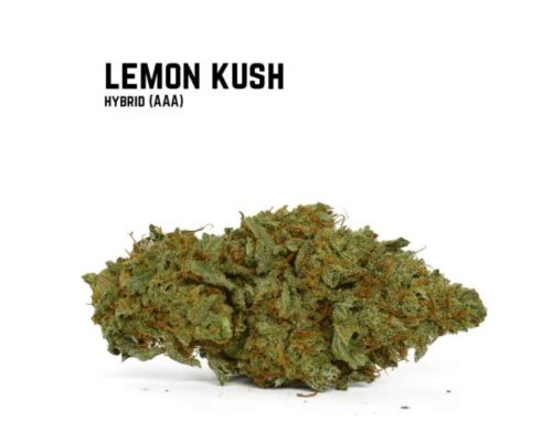 Buy Lemon Kush from an online dispensary