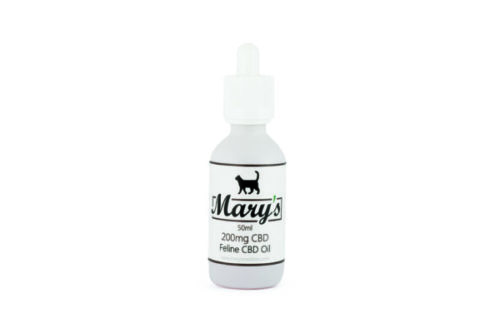 CBD tinctures for felines can benefit your cat's health in many ways. Where can you buy feline CBD in canada?