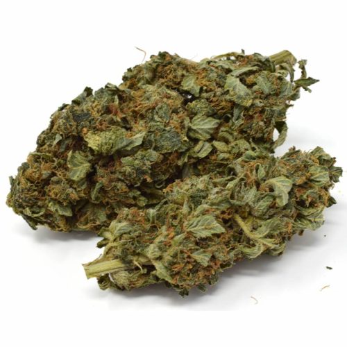 Buy master kush from an online dispensary in canada that's safe.
