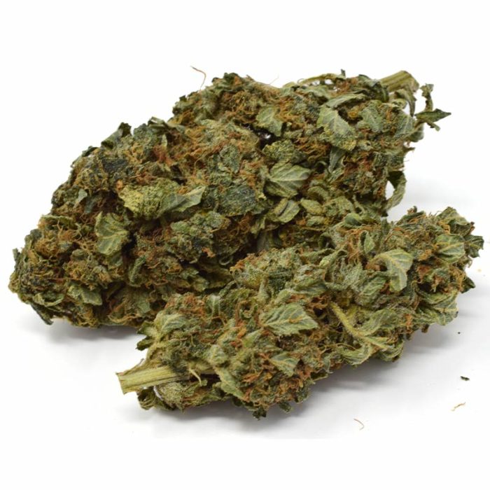 Buy master kush from an online dispensary in canada that's safe.
