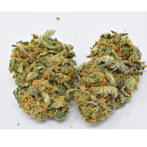Buy Moby Dick weed and buy skunk #1 weed in Canada online and get it delivered to your door steps today