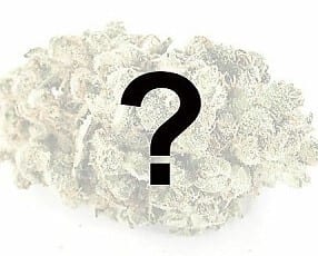 weedsmart_image_Cheap Mystery Oz