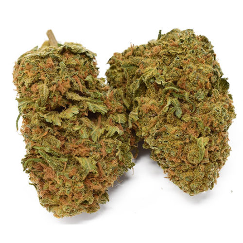 Buy Nuken strain online in Canada with free shipping.