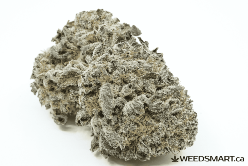 weedsmart_image_Purple Urkle strain