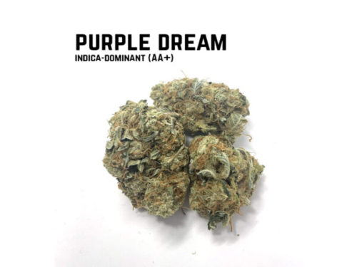 Buy purple dream weed online in Canada. Buy weed online for cheap in canada