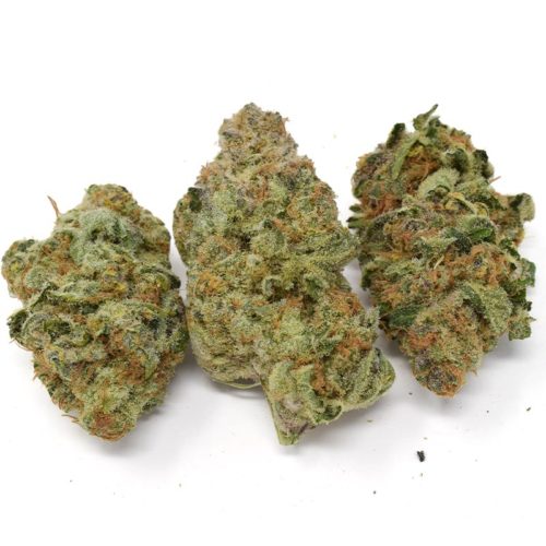 Buy Purple Punch weed and high quality craft cannabis online from CannabudPost.