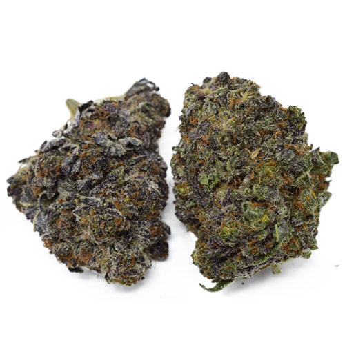 Buy Purple Space Cookie weed online and other sativa strains without a prescription.
