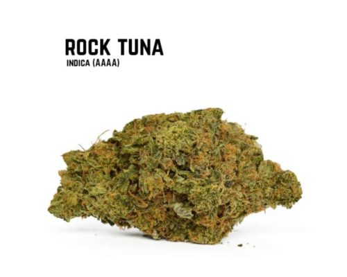 Where can you find Rock Tuna weed online in Canada?