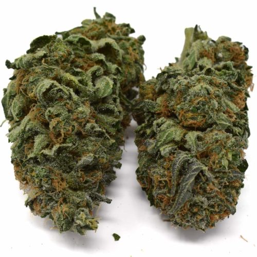 Skittles is a sativa dominant strain created by crossing Bubble Gum with Sour Diesel. Buy Skittles strain online.