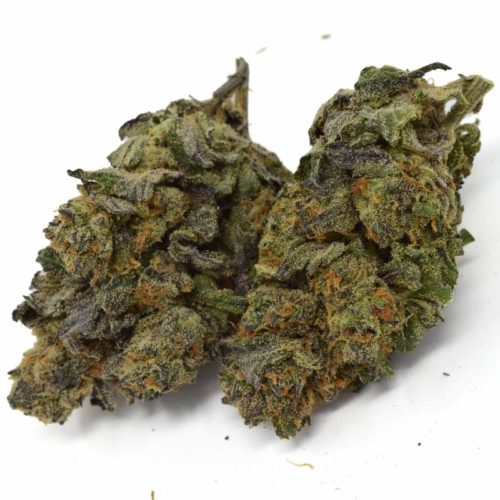 Buy Super Nuken online, a potent hybrid known for its uplifting high and tropical flavours.