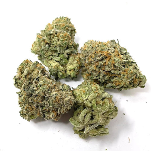 Where can you buy watermelon haze weed in canada? Buy watermelon haze sativa weed in canada