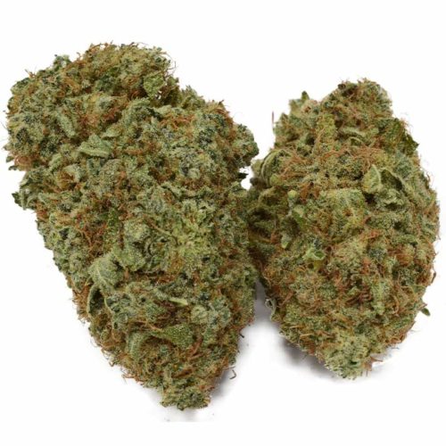 buy gelato weed from an online dispensary in canada
