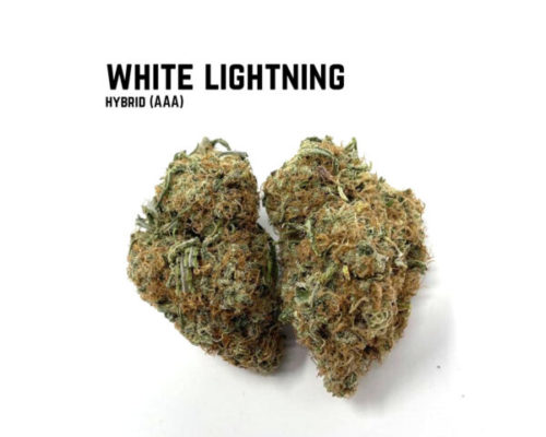 White Lightning strain is an indica dominant hybrid. White lightning leafly describes this as a sweet smoke with an uplifting high.