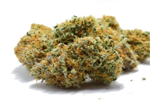Double Black Cookie is a rare Indica-dominant hybrid cannabis strain that can help users relax, deal with pain and improve their mood. It has high THC level and its great for medical marijuana patients