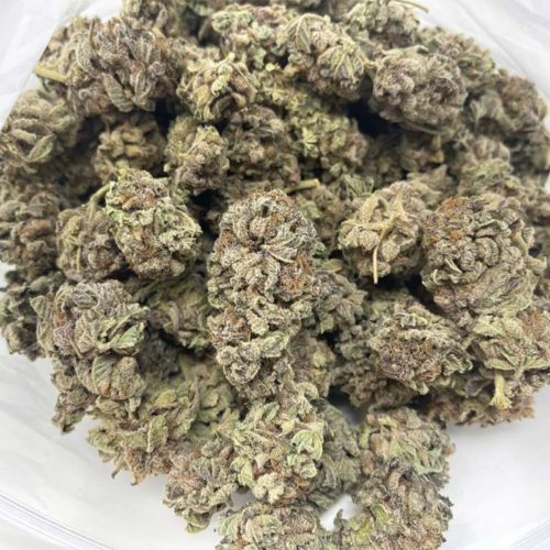 Where can you buy Black Widow online in Canada? Buy black widow strain online in Canada