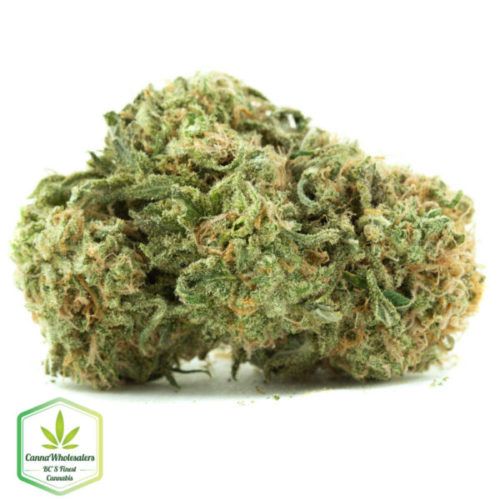 Budget Bulk Colombian Gold online weed dispensary