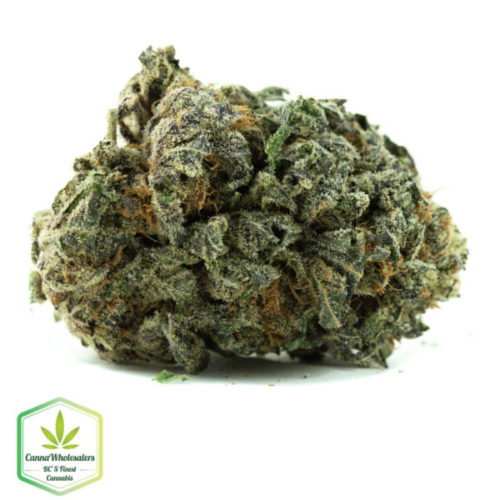 Durban Poison online weed dispensary