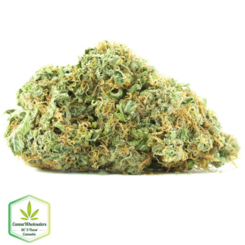 White Gold online weed dispensary