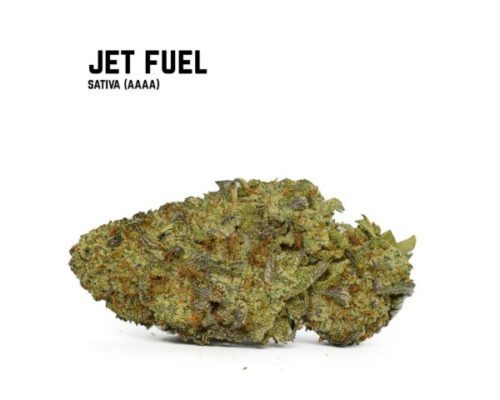 Jet Fuel is a Sativa-Dominant Hybrid strain that delivers a potent and uplifting cerebral buzz. This cannabis strain has a pungent and woody aroma.