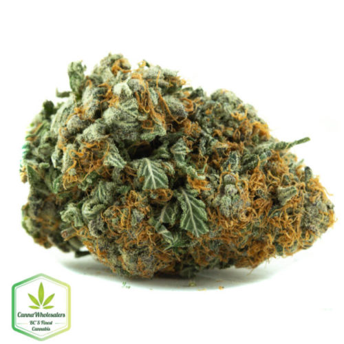 KC 33 online weed dispensary